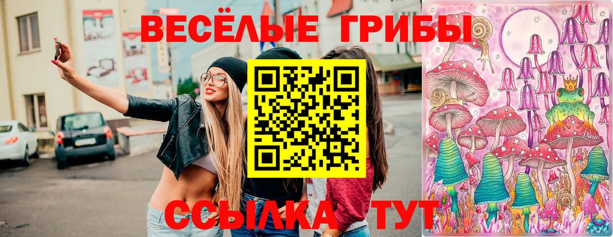 Псилоцибиновые грибы прущие грибы Минеральные Воды