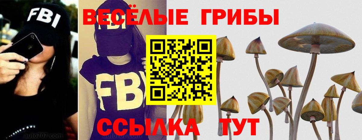 Псилоцибиновые грибы мицелий  Вход с VPN  Галлюциногенные грибы Magic Shrooms  Минеральные Воды 