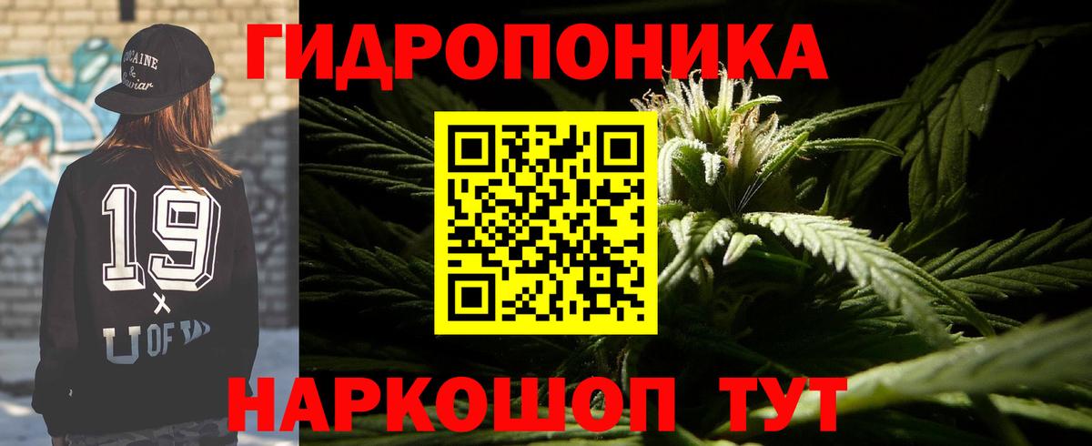 Минеральные Воды  Каннабис тримм  Вход с VPN  МАРИХУАНА SATIVA & INDICA  МАРИХУАНА гибрид  Бошки Шишки тримм 
